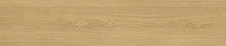 abs2304h3395st12.jpg