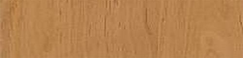 ABS R4601 VV OLŠE ZLATÁ 23X2 - 234601.jpg
