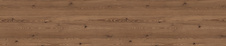 absh34082308.jpg