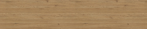 ABS H3330 ST36 DUB ANTHOR PŘÍRODNÍ 23x0,8 EGGER - absh33302308.jpg