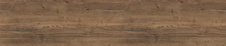 absh3176432.jpg