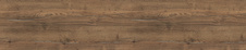 absh31762308.jpg