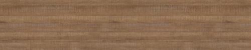 abs1151232.jpg
