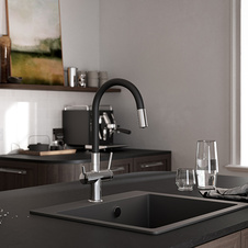 Kuchyňská baterie filtrační FERRO FILTRATA BFT41B s elastickým ramenem, chrom- černá - 821116_01.jpg